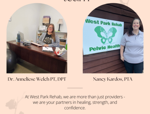 Meet the Pelvic Health Team